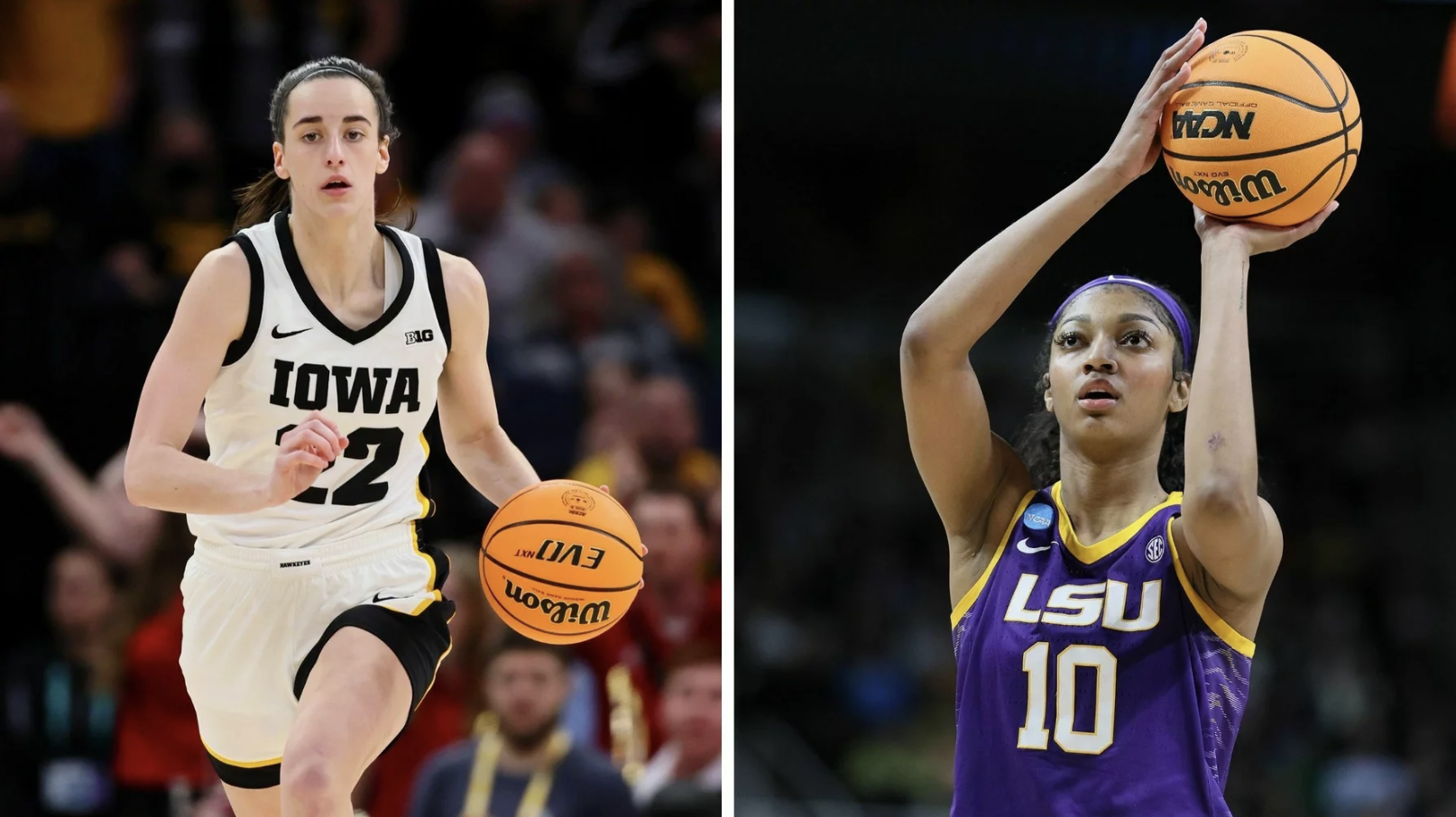 Untitled, image size:1614x906